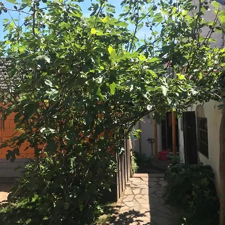 Ferienhaus Rheinperle Mit Garten In Am Rhein - Naehe Bonn