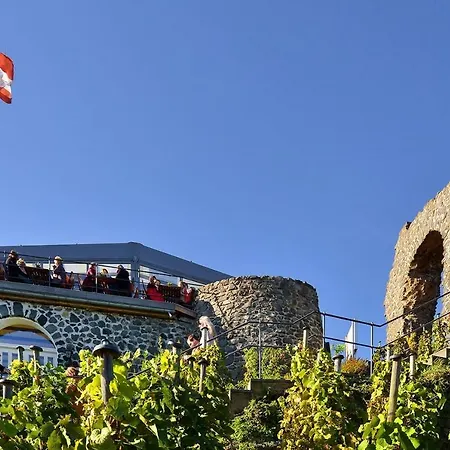 Ferienhaus Rheinperle Mit Garten In Am Rhein - Naehe Bonn Semesterbostad Remagen