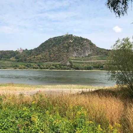 Semesterbostad Ferienhaus Rheinperle Mit Garten In Am Rhein - Naehe Bonn Remagen