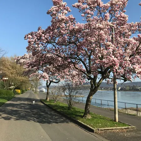 Semesterbostad Ferienhaus Rheinperle Mit Garten In Am Rhein - Naehe Bonn