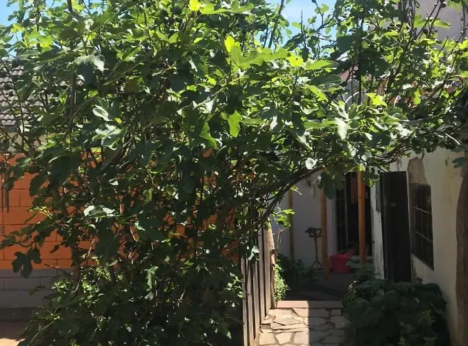 Ferienhaus Rheinperle Mit Garten In Am Rhein - Naehe Bonn